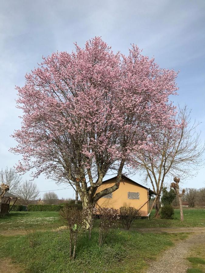 Le Mondou Saint-Julien-de-Lampon Luaran gambar